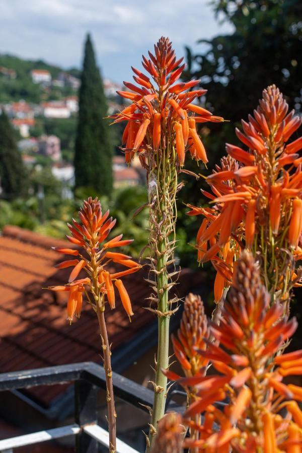 Holiday House Mima Holiday home Opatija